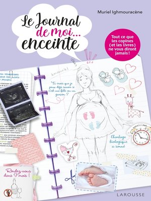 cover image of Le journal de moi...enceinte